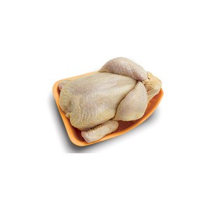 Frozen Halal Whole Chicken from Turkey