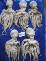 FROZEN OCTOPUS
