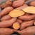 Import Frozen sweet potato seeds from China