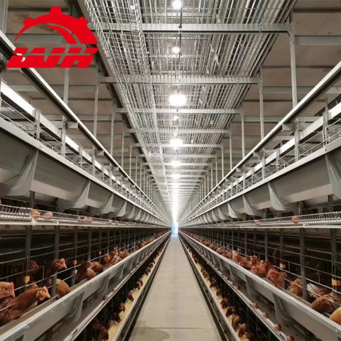 Full Automatic Layer Poultry Farm Cage  In Philippines
