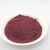 Import FYFD017P Health products 60mesh fruit powder Freeze-dried blueberry powder from China