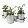 Galvanized Metal Buckets Planter with Wooden Handles Tray/ Flower Pot