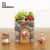Import Garden Flavored flower pot Miniature Decoration Potted Plant Grass house stone Gardening supplies Resin Creative Plant Pot from China