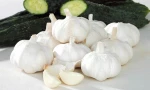 garlic 10kg descascadora garlic industrial