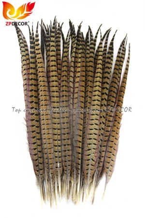 Gold Supplier from ZPDECOR Wholesale Stock Selected Top Quality 50-55 cm Natural Ringneck Pheasant Tail Feather