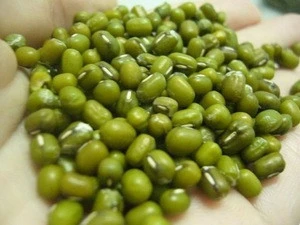 Good Quality Green Mung Beans Available