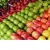 Import Green Apples , Red Delicious apples , Fuji Apples from South Africa