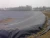 Import HDPE /LDPE /LLDPE geomembrane/pond liner  manufacturers from China