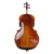 Import High Grade Old Antique Professional Colored Handmade Cello from China