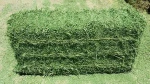 high quality alfalfa hay, alfalfa hay price, alfalfa hay bales