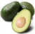 Import High quality avocado Persea americana fruits for sale from China