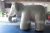 Import High quality best design inflatable cartoon elephant advertising inflatable model for events from China