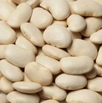 High Quality Butter Beans