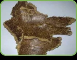high Quality Cotton Seed Cake