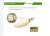 Import High quality crispy delicious healthy fresh white radish from China