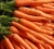 Import High quality fresh carrots from USA