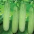 Import High Quality Fresh Cucumber from Bangladesh