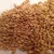 Import High quality Ukrainian Barley/ Barley feed/human consumption from Ukraine