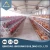 Import High Quality Verified Supplier Galvanized Steel Modern Poultry Farm Design from China