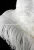 Import High quality wedding party table decoration white ostrich feather from China