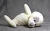 Import high quality white soft sea life plush stuffed seal small toys in bulk from China