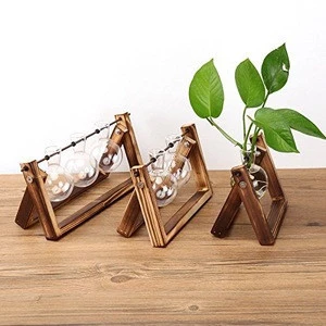 Home artificial desktop decoration tube/buld Glass planter Glass vase with metal stand/wood stand base