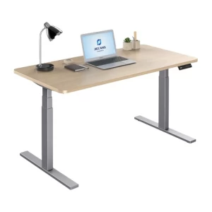 Home Office Furniture 2 Legs Sit Stand Up Modern Design Standing Desk