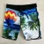 Import Hot Sale Colorful Gradient Summer Surf Hot Men Swim Trunk Beach Shorts from China