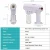 Import Hot Sale ULV Fog Machine Electric Disinfection Nano Mist Sprayer Sanitizer Wireless Hair Spray Gun for Car Room from China