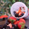 Hot Selling Vegetable &amp; Fruits Tools  plastic manual juicer
