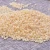Import Hulled Sorghum Rice Grain Seeds from Canada