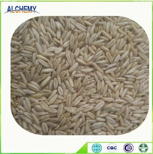 Husked oats wholesale prices