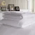 Import Hypoallergenic Queen King Home Hotel Goose Down Duvet from China