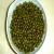 Import Indian Best Product Green Millet from India