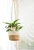 Import Indoor Flower Pot Hanging Planter Woven Plant Basket with Jute and Cotton Cord from China