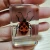 Import Insect specimen in resin block Pre school educational teaching resources from China