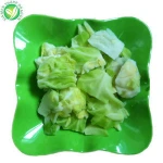 iqf frozen fresh chinese brands green cabbage for sale