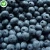 Import iqf organic frozen blueberry fresh fruit bulk frozen blueberries from China