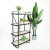 Import IVY  living room bedroom furniture industrial ladder 4 tier wood bookshelf bookcase from China