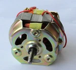 Jiangmen Fengheng juicer motor wholesale bread maker parts
