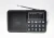 Import L-238SW MP3 music player speaker home radio am fm sw from China