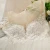Import Long Sleeve Lace Appliques Deep V-Neck ivory Plus size wedding dress elegant 2021 Bridal Gown from China