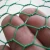 Import Lowes Chicken Wire Mesh Roll for Sale from China