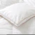Import luxury 100S soft warm down feather quilted king size duck/goose down duvet bed quilt from China