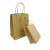 Import Machine Made Twisted Handle Brown Paper Gift Bags from China