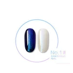Manicure mermaid shell gradient powder pearl powder nail decoration DIY nail art
