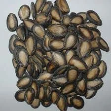 Hulled and Unhulled Quality Melon Seeds, Packed in 25 Kg, 50Kg, 50Kg Certification: ISO 9001:2008