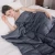 Import Minky blankets wholesale blanket consultant QZ-127 from China