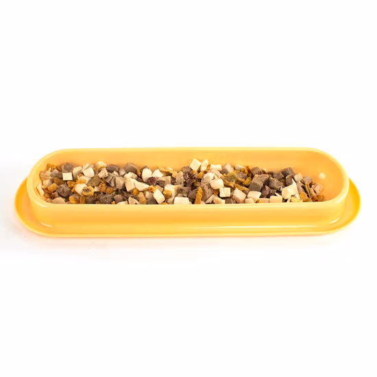 Import Multi-Cat Sharing Kitten Feeder Bowl from China