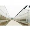 Multi-Span Plastic Film Hydroponic System Greenhouse for Vegetables Garden